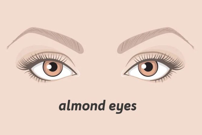 almond eye