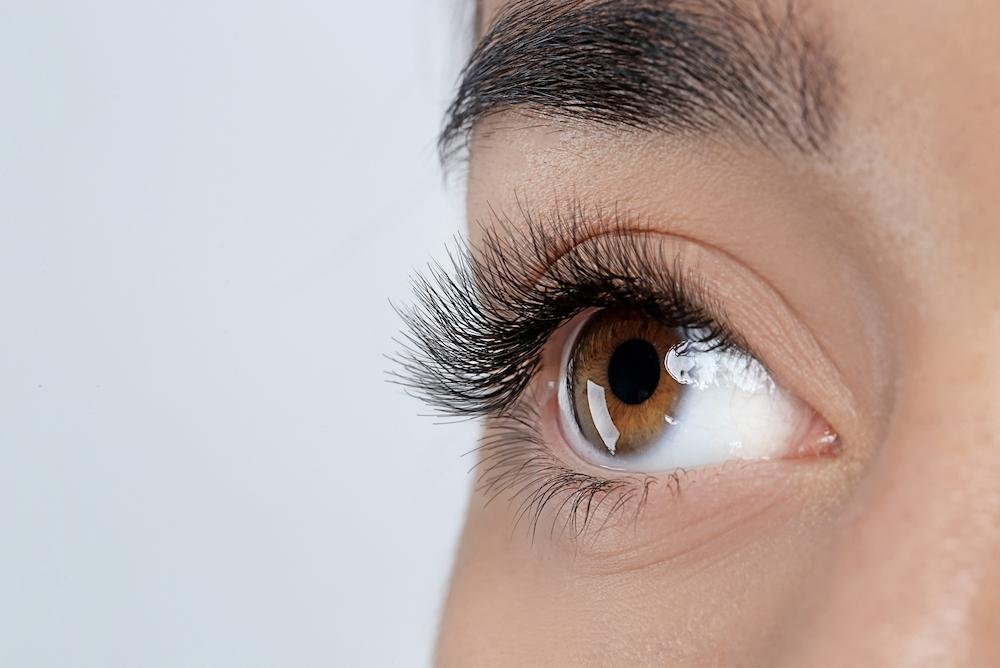 mink eyelashes
