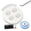 lash sponge